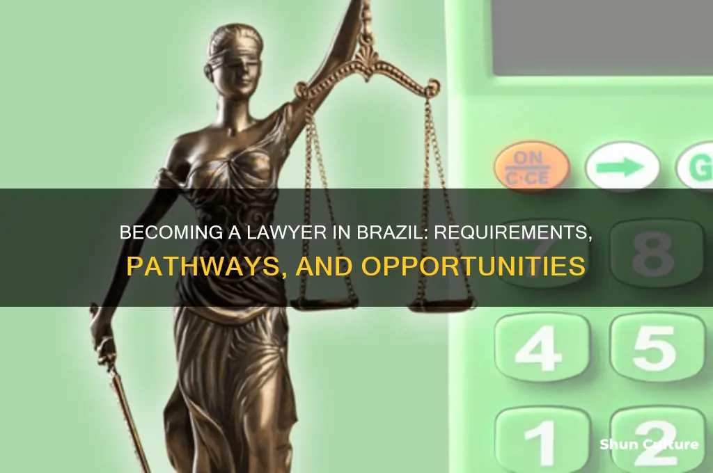 can I be a lawyer in brazil