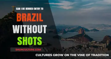 Traveling to Brazil: Entry Denial Risks Without Required Vaccinations