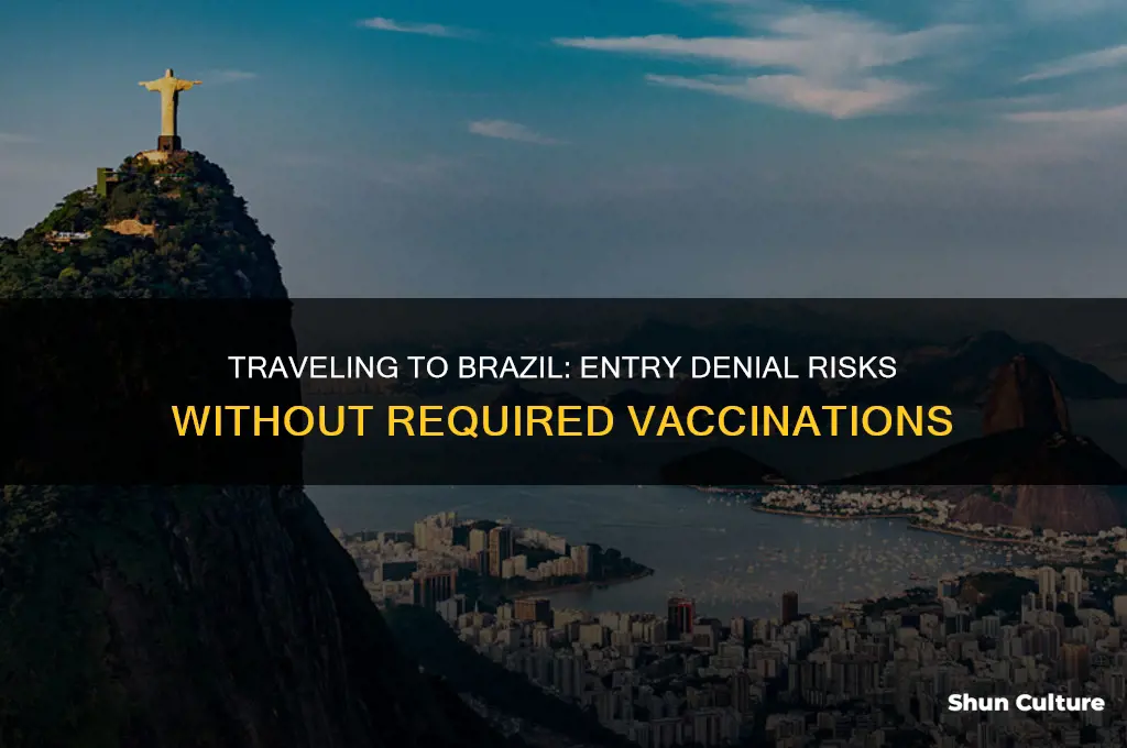 can I be denied entry to brazil without shots