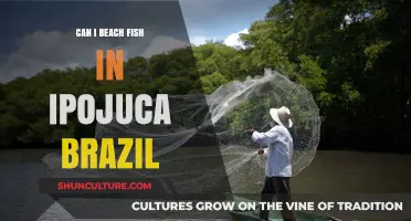 Beach Fishing in Ipojuca, Brazil: Tips, Spots, and Regulations