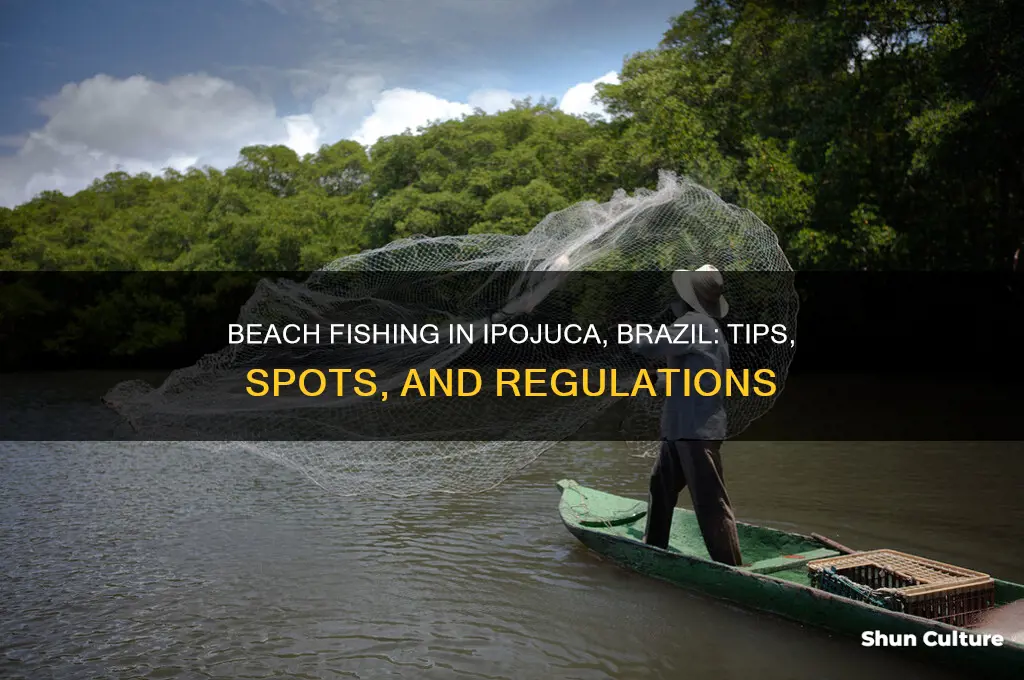 can I beach fish in ipojuca brazil