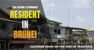 How to Secure Permanent Residency in Brunei