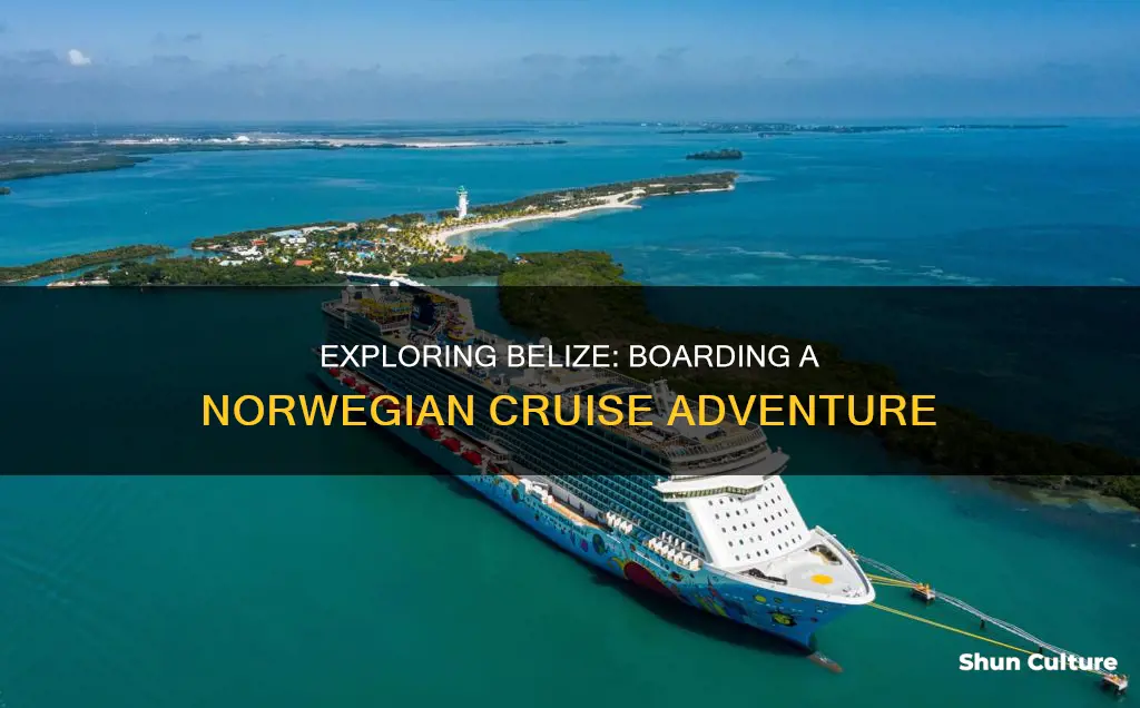 can I board norwegian cruise ship in belize