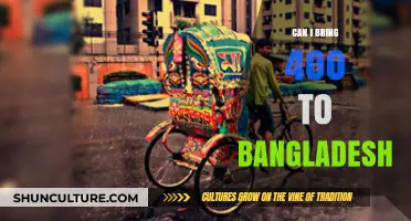 Bringing 400 USD to Bangladesh: Travel Money Tips and Rules