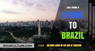 Bringing a Drone to Brazil: Rules, Regulations, and Travel Tips