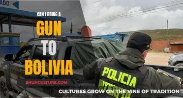 Bringing Firearms to Bolivia: What You Need to Know