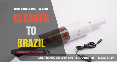 Traveling to Brazil? Tips on Bringing a Small Vacuum Cleaner