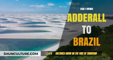 Traveling to Brazil with Adderall: Legal Guidelines and Essential Tips