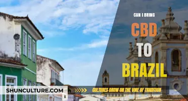 Traveling to Brazil with CBD: Legal Guidelines and Tips for Visitors