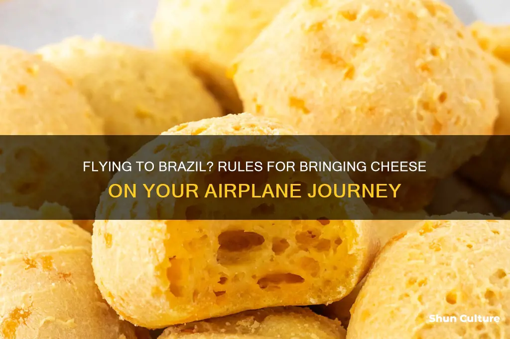 can I bring cheese to brazil airplane