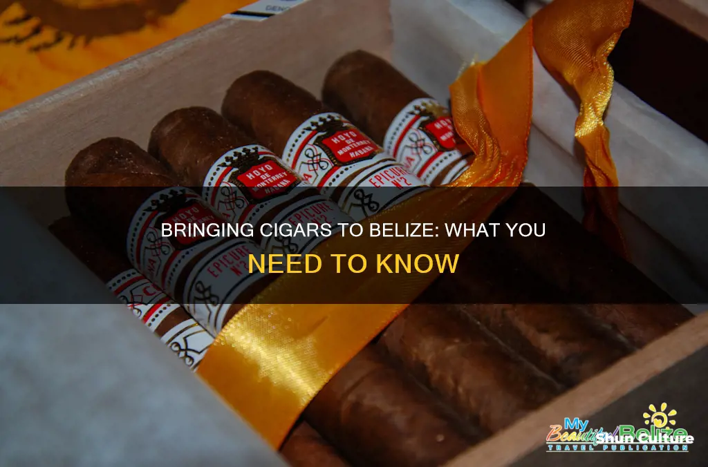 can I bring cigars into belize