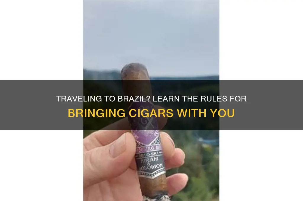 can I bring cigars to brazil