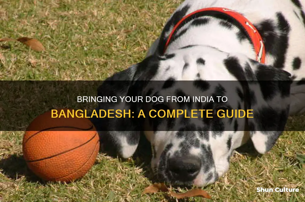 can I bring dog from india to bangladesh