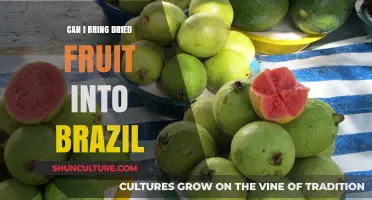 Bringing Dried Fruit to Brazil: Customs Rules and Travel Tips