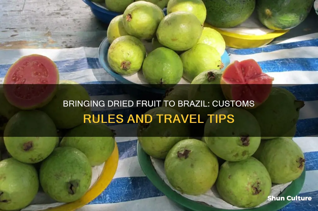 can I bring dried fruit into brazil