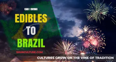 Traveling to Brazil with Edibles: Legal Risks and Customs Rules