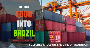 Bringing Food to Brazil: Rules, Restrictions, and What’s Allowed