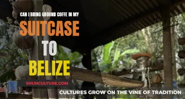 Suitcase Coffee Conundrum: Can I Bring Ground Coffee to Belize?