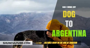 Paws and Reflect: Your Guide to Traveling with Dogs to Argentina