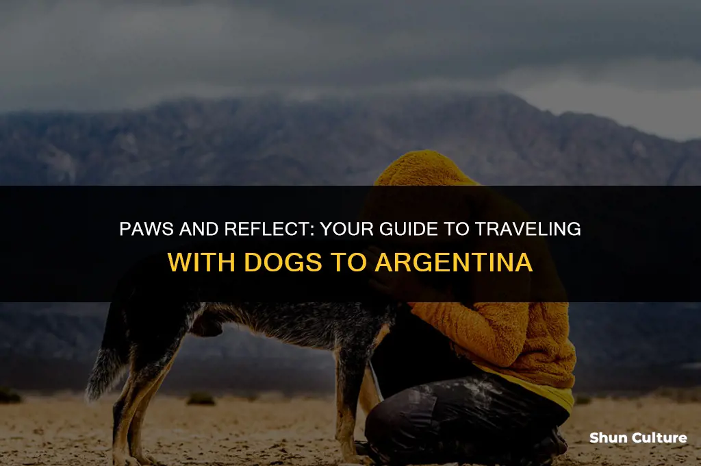 can I bring my dog to argentina