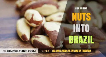 Traveling to Brazil? Check Rules for Bringing Nuts into the Country