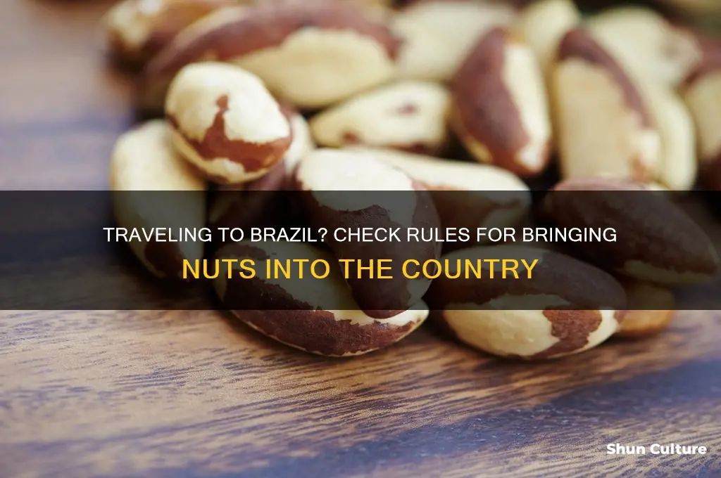 can I bring nuts into brazil