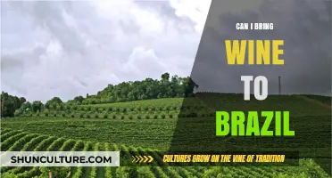 Bringing Wine to Brazil: Rules, Limits, and Customs Tips