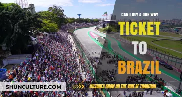 Exploring Brazil: One-Way Ticket Options, Costs, and Travel Tips