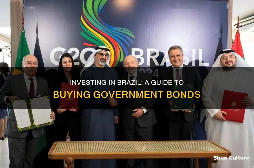 can I buy brazil government bonds