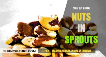 Where to Find Brazil Nuts: Are They Available at Sprouts?