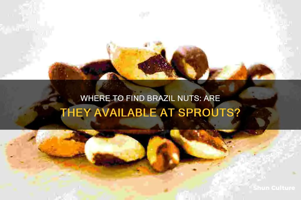 can I buy brazil nuts in sprouts