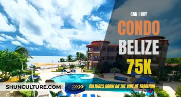 Condo Living in Belize: A 75K Dream?