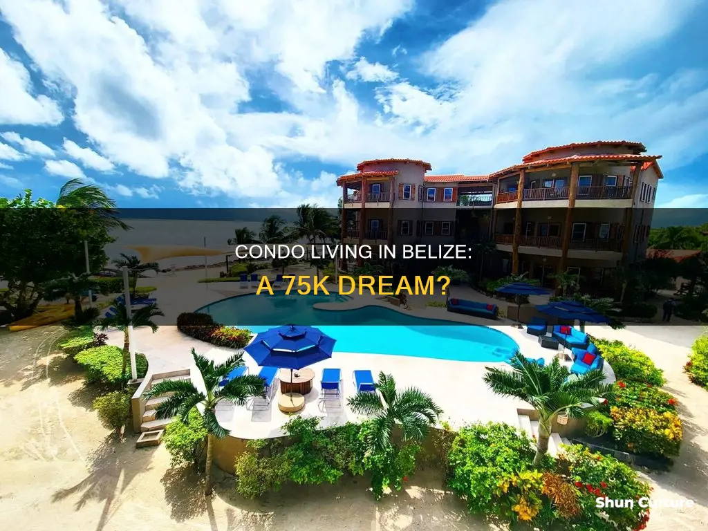 can I buy condo belize 75k