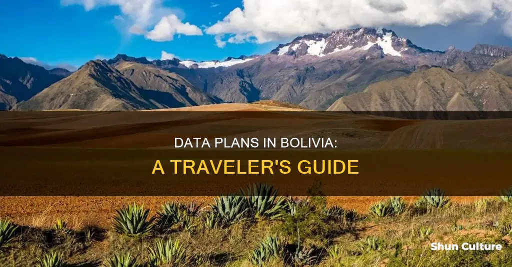 can I buy only data plan for bolivia