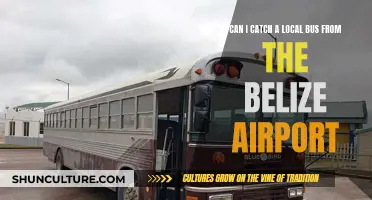 Local Bus Transport: Belize Airport to City Center