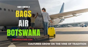 Air Botswana Baggage Policy: Checking 3 Bags – What You Need to Know