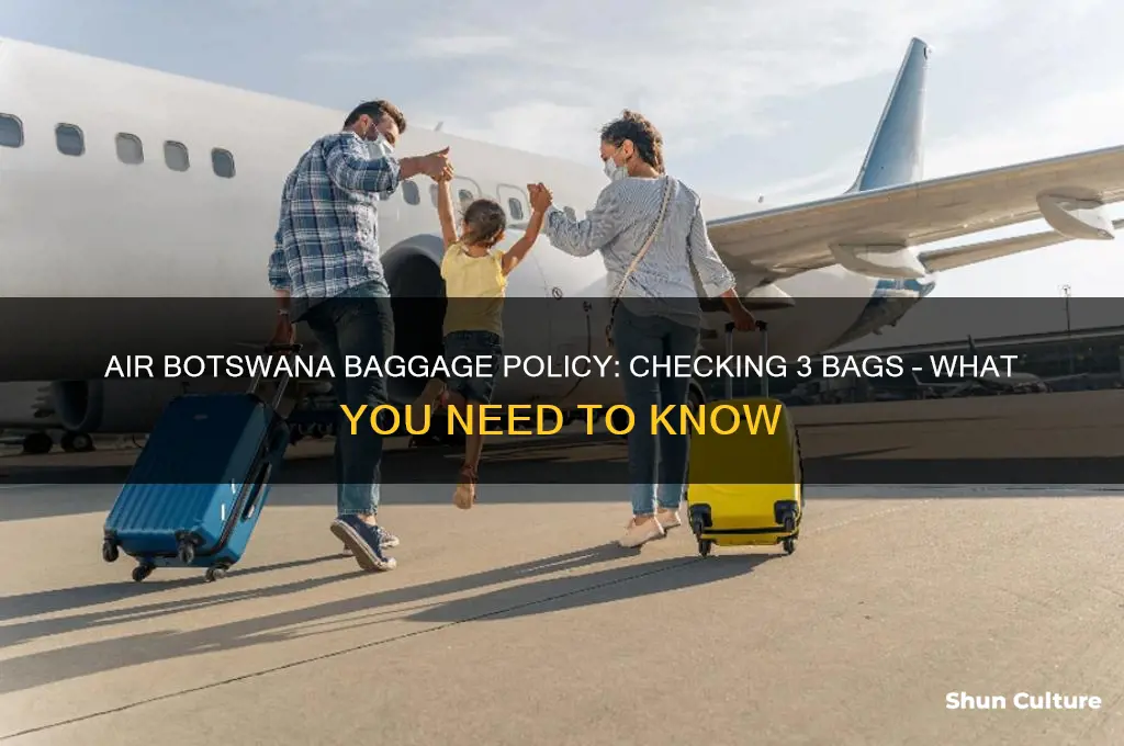 can I check 3 bags air botswana