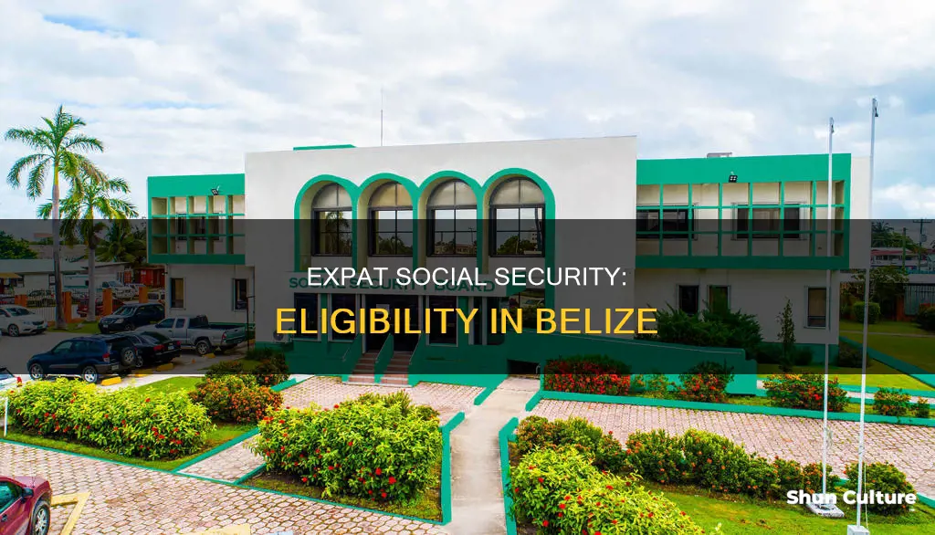 can I collect social security as expat in belize