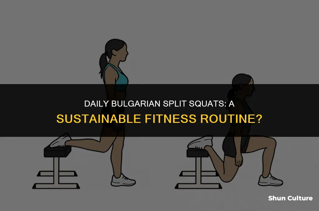 can I do bulgarian split squats everyday