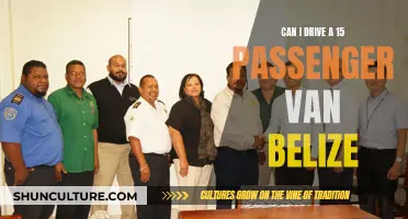 Exploring Belize: Driving 15-Passenger Vans Legally