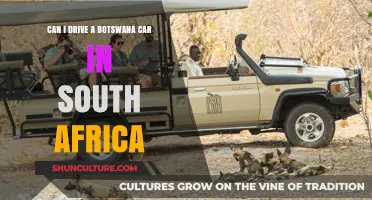 Driving Botswana-Registered Vehicles in South Africa: Rules and Requirements
