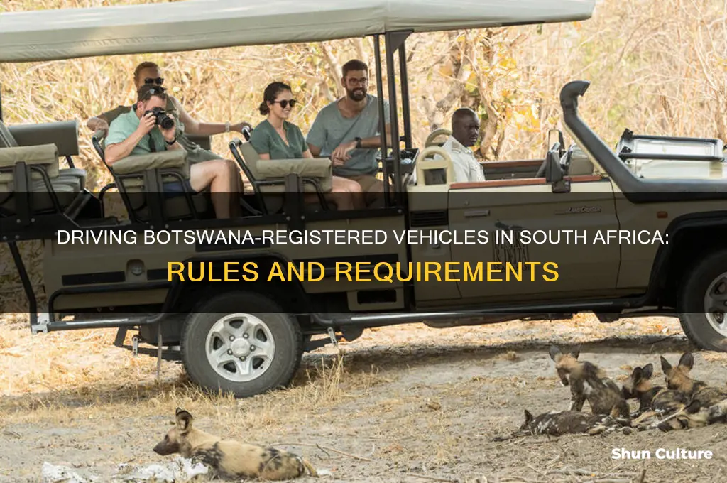 can I drive a botswana car in south africa