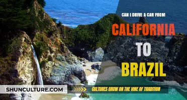 Driving from California to Brazil: Feasibility, Challenges, and Alternatives Explored