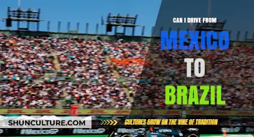Driving from Mexico to Brazil: Challenges, Routes, and Travel Tips