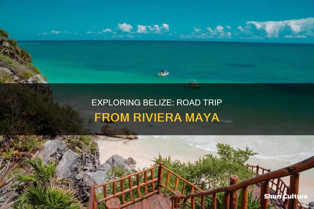 can I drive from riviera maya to belize