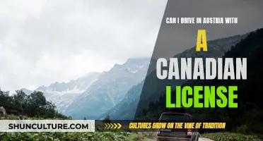 Driving in Austria: Canadian License Validity