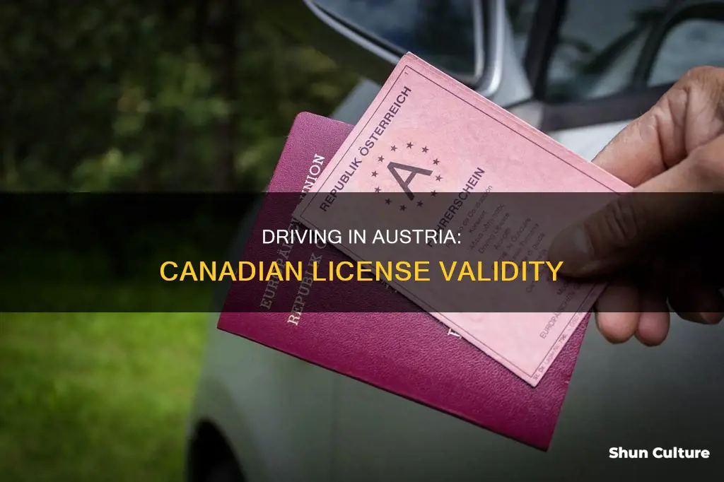 can I drive in austria with a canadian license