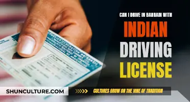 Driving in Bahrain: Indian License Validity and Rules