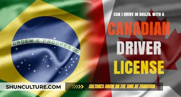 Driving in Brazil with a Canadian License: What You Need to Know