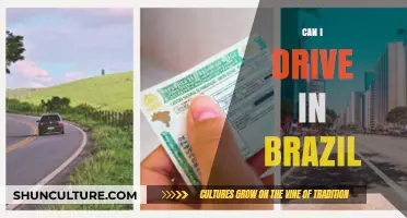 Driving in Brazil: What You Need to Know Before Hitting the Road